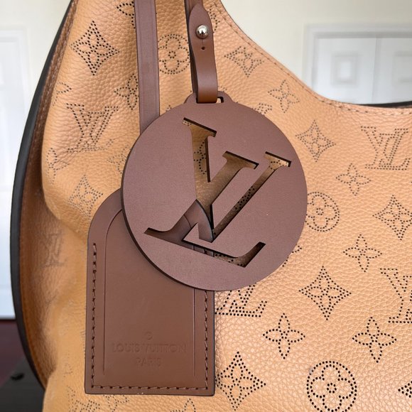 Louis Vuitton Luxary Hobo Bag in Carmel - Picture 2 of 8